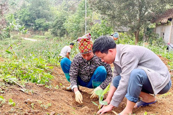 Bảo Yên (Lào Cai): Phát huy giá trị nguồn lực đất đai trong công tác giảm nghèo