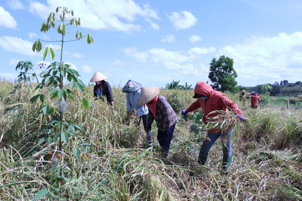 Tây Ninh: Đưa công tác giảm nghèo đi vào thực chất, bền vững