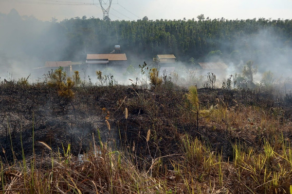 Đắk Nông: Chỉ đạo dừng việc đốt thực bì phòng chống cháy rừng