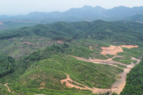 “Sống khỏe” nhờ rừng