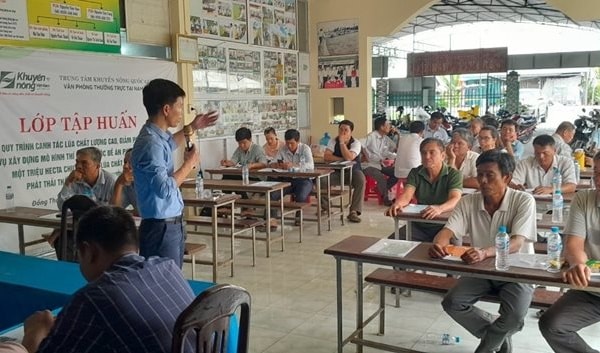 Canh tác lúa giảm phát thải, tăng thu nhập