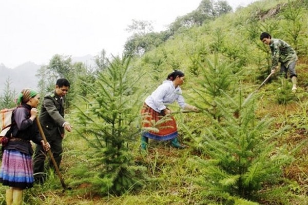 Hỗ trợ kinh phí phát triển sinh kế, cải thiện đời sống người dân vùng đệm các khu rừng đặc dụng