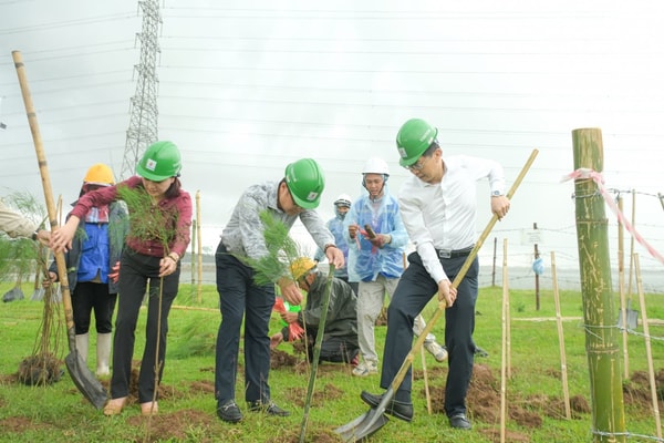 Trồng 11.000 cây xanh tại Nhà máy Nhiệt điện Thái Bình 2