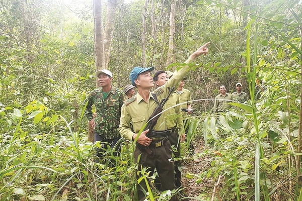 Những người gác rừng dưới chân núi Tà Đùng