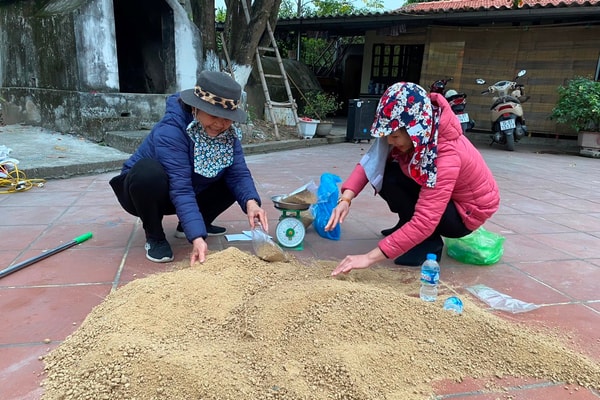 An Lão: Phụ nữ bảo vệ môi trường, nâng cao điều kiện sống