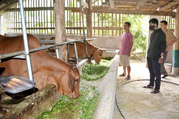Điện Biên: Cầu nối giúp nông dân phát triển kinh tế