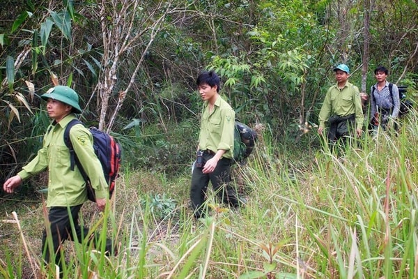 Nghệ An: Chỉ đạo thực hiện chi trả giảm phát thải nhà kính vùng Bắc Trung bộ