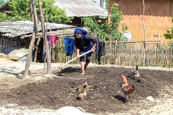 Lào Cai gỡ khó trong cấp GCNQSDĐ: Vướng ở đâu gỡ ở đó