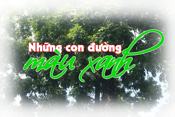 Những con đường màu xanh