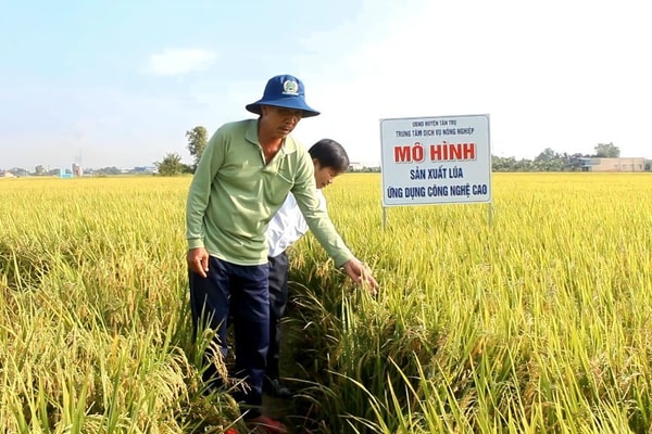 Long An: Công bố mức độ ô nhiễm đất