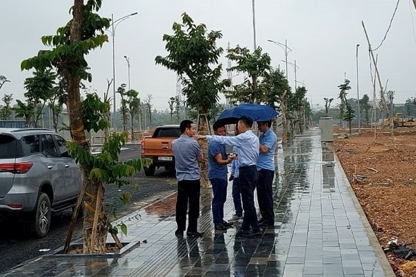 Nghệ An: Chỉ đạo triển khai thi hành Luật Đất đai, Luật Nhà ở, Luật Kinh doanh bất động sản