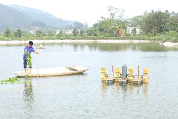 Hà Nam: Khơi dậy ý chí chủ động vươn lên thoát nghèo