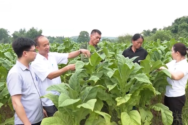 Lạng Sơn: Vùng biên Lộc Bình vươn lên từ nguồn lực đất đai