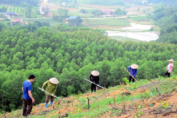 Huyện Đam Rông (Lâm Đồng): Tăng cường quản lý bảo vệ rừng