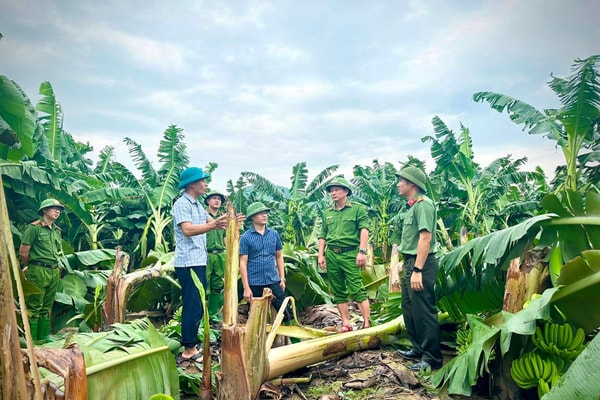 Bộ LĐ-TB&XH: Bảo đảm an sinh xã hội cho người dân bị ảnh hưởng bởi mưa lũ, thiên tai