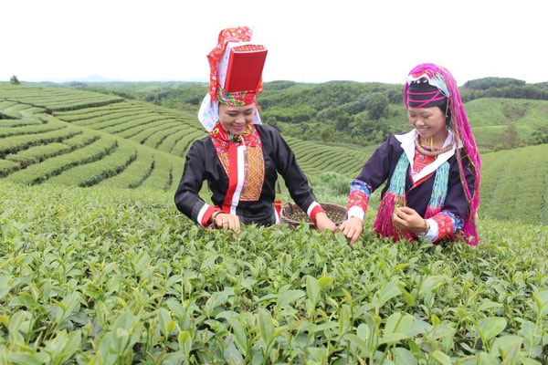 Hải Hà (Quảng Ninh): Nhiều giải pháp giúp đồng bào vùng cao giảm nghèo bền vững