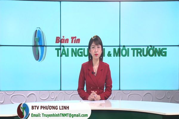 Bản tin Truyền hình TN&MT số 38/2024 (Số 373)