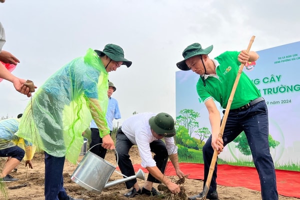 Quỹ Bảo vệ môi trường Việt Nam ra quân “Lễ trồng cây và làm sạch môi trường biển” tại Thanh Hoá