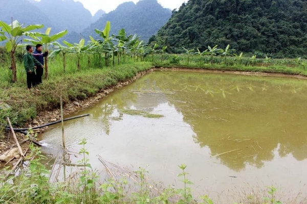 Hoàn nguyên môi trường sau khai thác khoáng sản: Doanh nghiệp “chây ì” đến bao giờ? Bài 3: Bắc Kạn - Hiệu quả trong hoàn nguyên môi trường