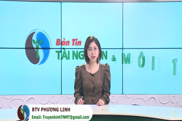 Bản tin Truyền hình TN&MT số 44/2024 (Số 379)