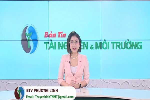 Bản tin Truyền hình TN&MT số 48/2024 (số 383)