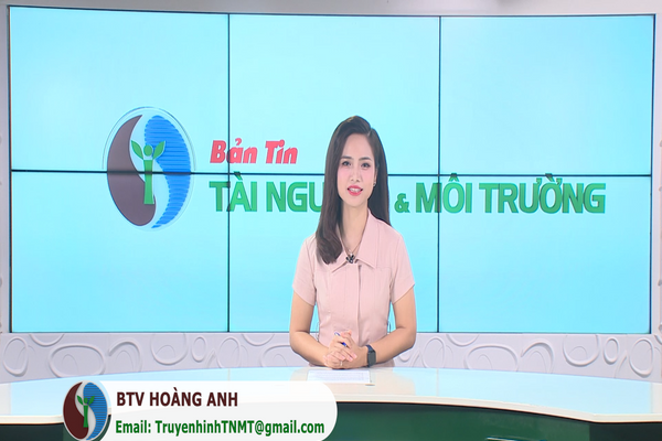 Bản tin Truyền hình TN&MT số 49/2024 (số 384)