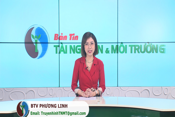 Bản tin Truyền hình TN&MT số 51/2024 (số 386)