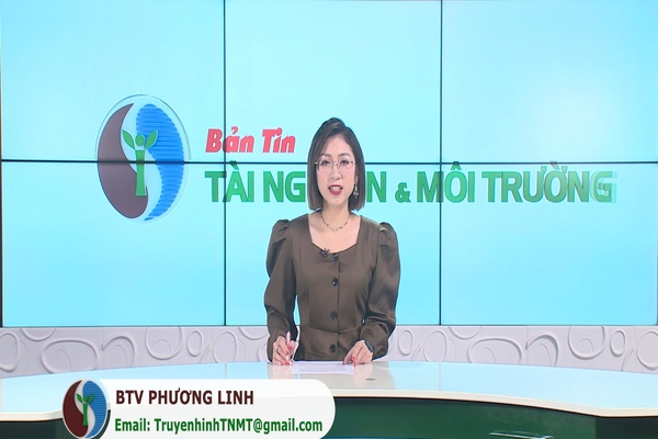 Bản tin Truyền hình TN&MT số 52/2024 (số 387)