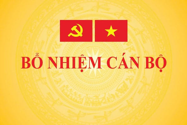 Bổ nhiệm ông Trịnh Mạnh Linh giữ chức Phó Chủ nhiệm Văn phòng Chính phủ