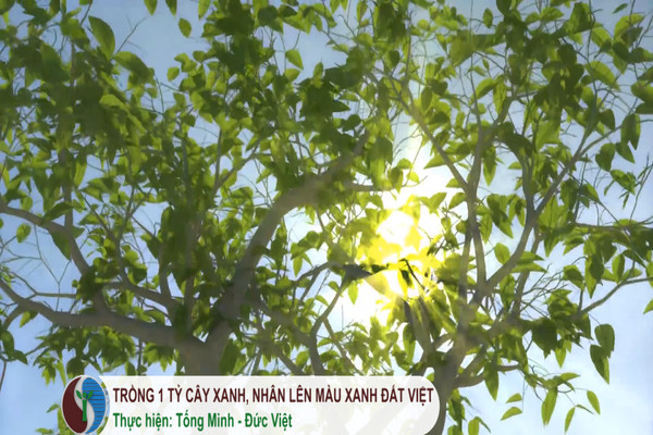 Trồng 1 tỷ cây xanh, nhân lên màu xanh đất Việt