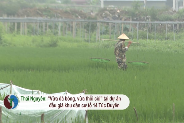 TP Thái Nguyên: “Vừa đá bóng, vừa thổi còi” tại dự án đấu giá khu dân cư tổ 14 phường Túc Duyên