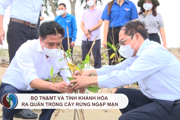 Bộ TN&MT và tỉnh Khánh Hòa ra quân trồng cây rừng ngập mặn