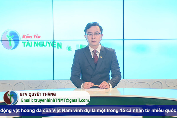 Bản tin truyền hình Tài nguyên và Môi trường số 23/2022 (số 243)