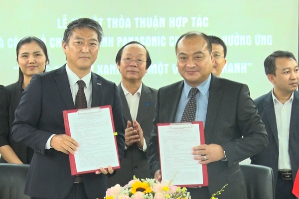Panasonic sẽ phối hợp trồng cây tại 13 tỉnh, thành phố của Việt Nam