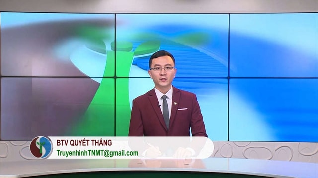 Bản tin TN&MT số 34/2019 (số 100)