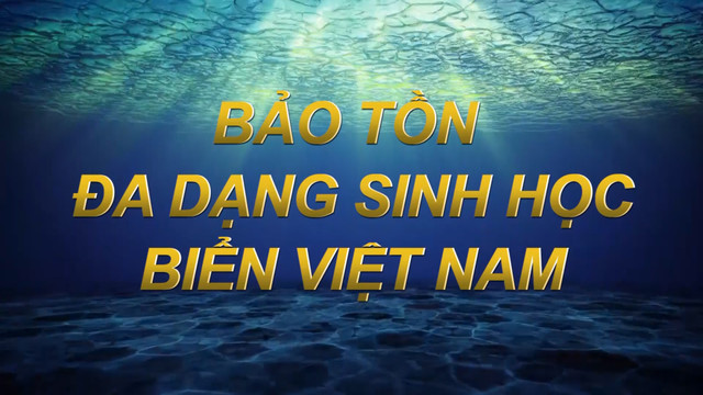 Bảo tồn đa dạng sinh học biển Việt Nam 