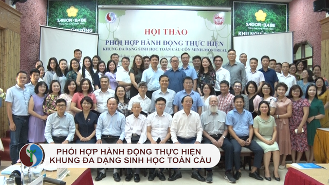 Phối hợp hành động thực hiện khung đa dạng sinh học toàn cầu