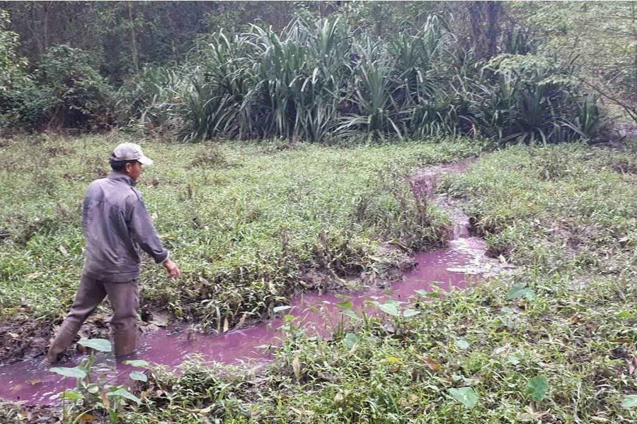 Hương Trà (Thừa Thiên Huế): Khe nước đổi màu tím đỏ, nghi chất thải từ cơ sở sản xuất giấy?