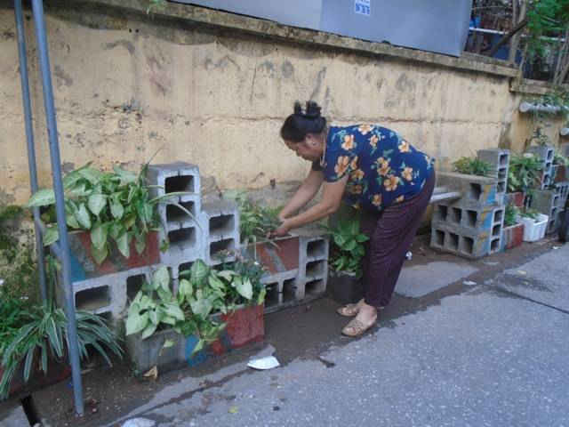 Hà Nội: Lan tỏa vườn hoa thanh niên trên nền rác thải