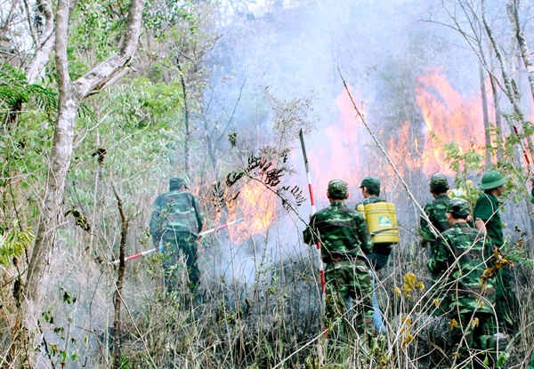Tháng 5 - đỉnh điểm nguy cơ cháy rừng ở Tây Nguyên