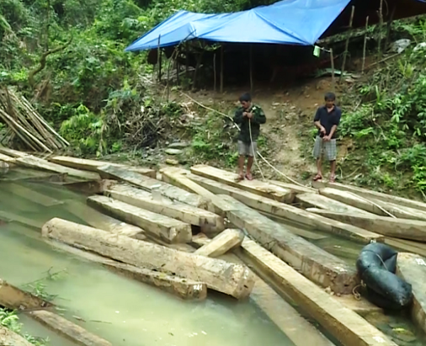 Quảng Bình: Kỷ luật 5 cán bộ kiểm lâm liên quan đến vụ phá rừng phòng hộ huyện Tuyên Hóa
