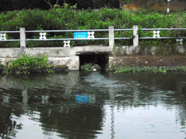 Thái Bình: “Thoi thóp” những dòng sông