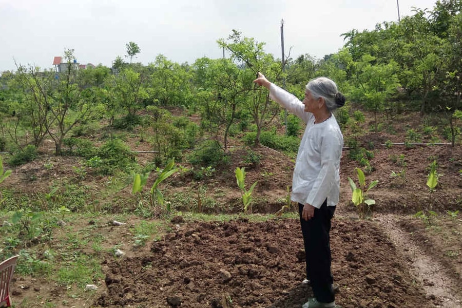 Vụ từ chối cấp sổ đỏ tại Nam Định - Bài 7: Mẹ Việt Nam Anh hùng bị xử thua kiện!