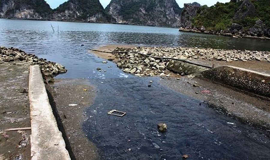 Quảng Ninh: Kinh hoàng nước thải sinh hoạt đổ thẳng ra vịnh Hạ Long