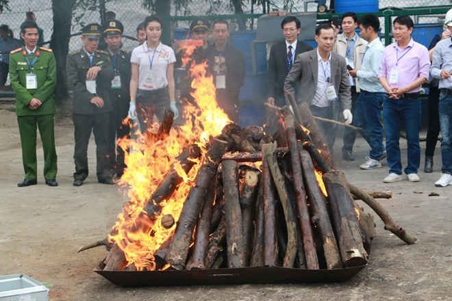 30 tháng hành động chống nạn buôn bán ngà voi, sừng tê giác