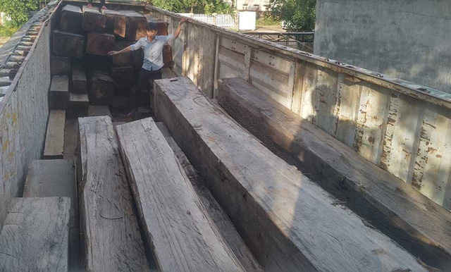 Vụ bắt giữ xe gỗ “khủng” ở Gia Lai: Khởi tố Phó Giám đốc công ty sở hữu gỗ