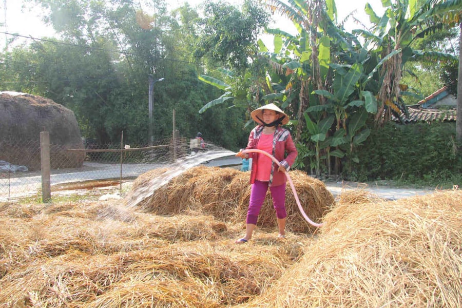 Nông dân Huế tận dụng phế thải ô nhiễm để... “làm giàu”