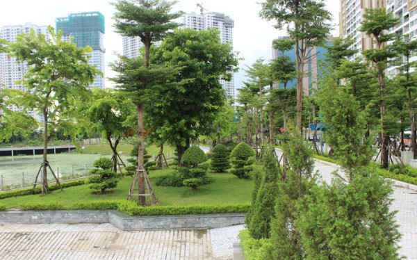 Công viên hồ điều hòa Nhân Chính đi vào sử dụng: Thêm không gian đô thị xanh