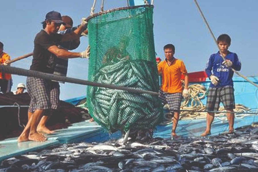 Khai thác và chế biến thủy hải sản: Đóng góp lớn vào nền kinh tế đất nước
