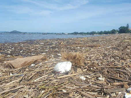 Sau những ngày mưa lớn, biển Quỳnh Long ngập rác